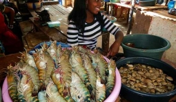 實拍非洲的海鮮市場，巨大龍蝦超級誘人，也許你也沒見過