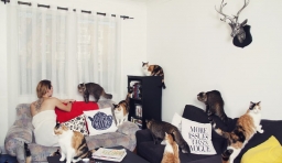 一位重度愛貓者獻給所有 「Crazy Cat Lovers」 的攝影集：貓咪越多，幸福越大