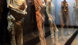 世界上最恐怖的人屍博物館來襲