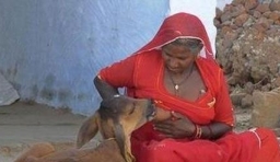 印度加爾各答裏的奇風異俗，女性竟為牛哺乳 ！大便不用手紙！震驚！！