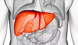 六步助你排出肝臟毒素